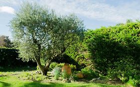 B&B Tina De Pacs, Close To Local Wineries